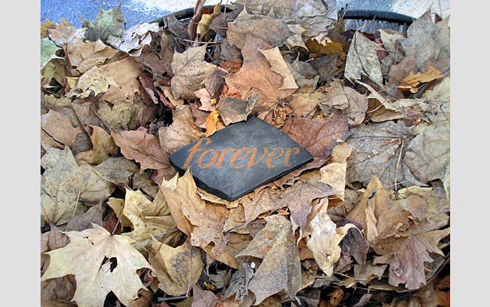 Forever | Forever insideclose up, 2003